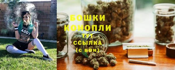 прущие крисы Мегион